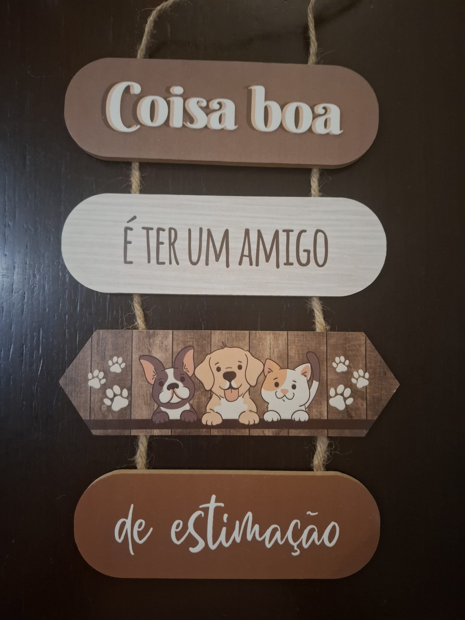Placa Decorativa "Amigo de Estimação"