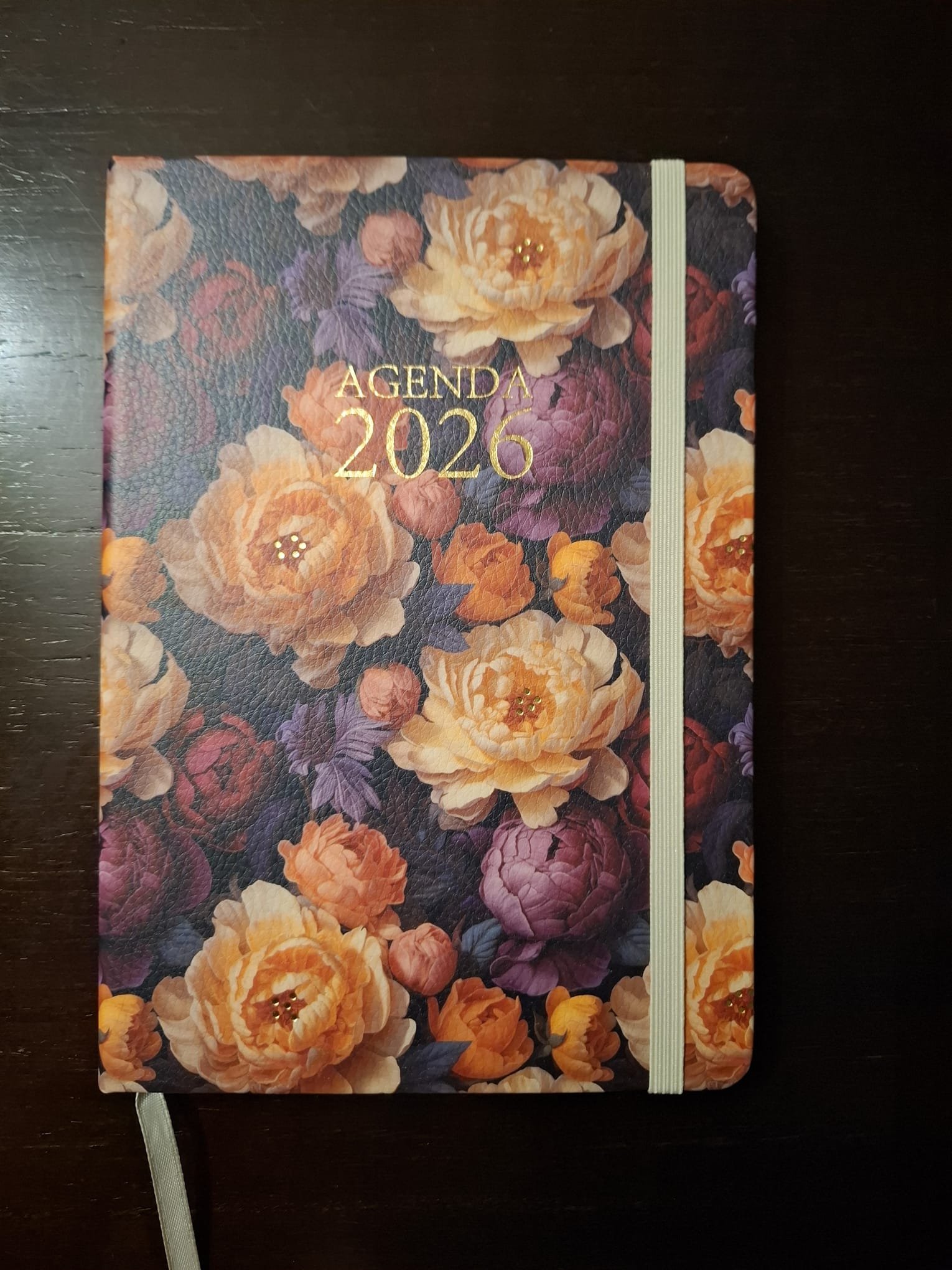 Agenda 2026 Florida (A5)