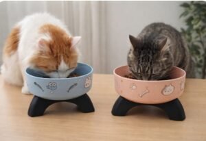 Comedouro Elevado "Enjoy Life"